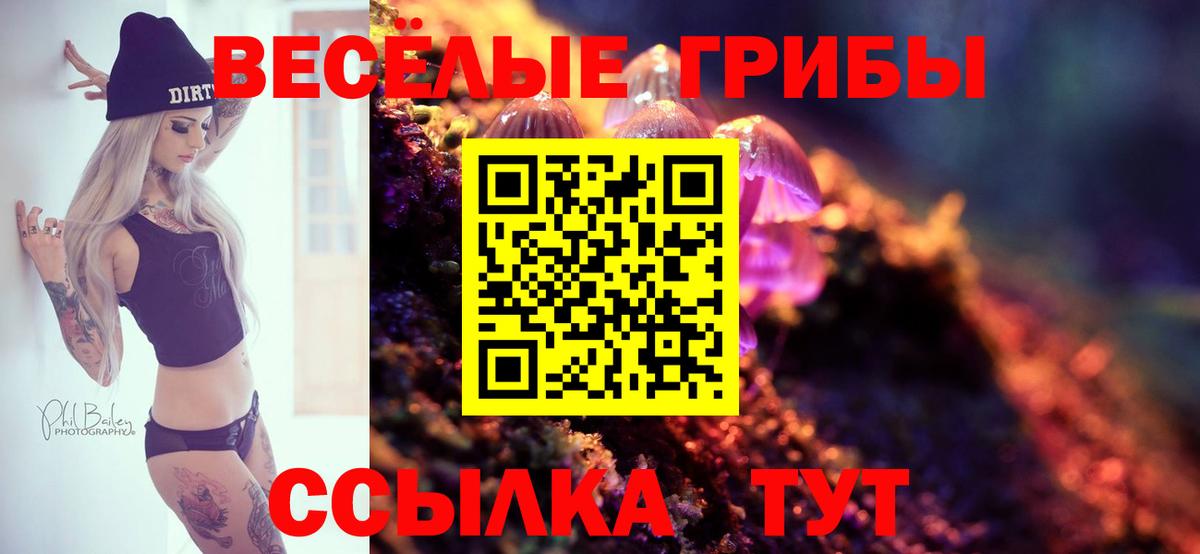 Псилоцибиновые грибы MAGIC MUSHROOMS Вичуга