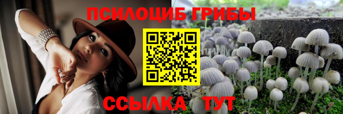 Вичуга  Псилоцибиновые грибы Psilocybine cubensis  Псилоцибиновые грибы мухоморы  купить наркоту  Вход с VPN 